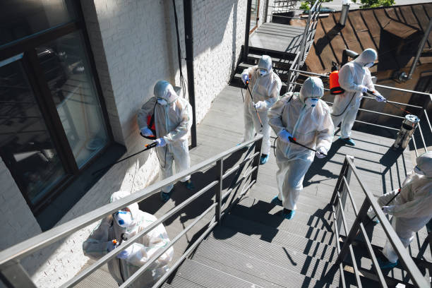 Best Real Estate Mold Inspection  in Mulino, OR