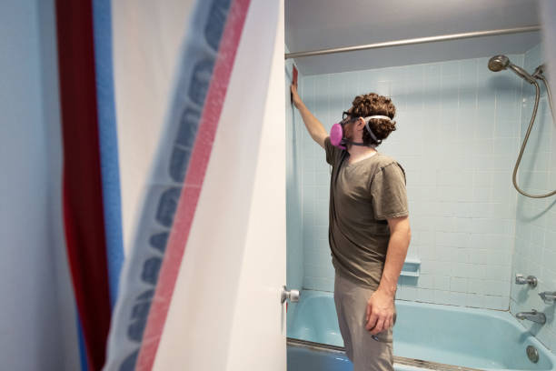 Best Mold Remediation for Healthcare Facilities  in Mulino, OR