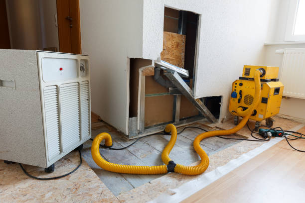 Best Attic Mold Removal  in Mulino, OR