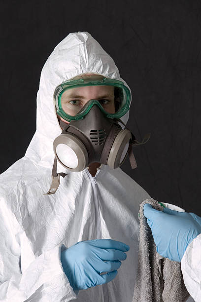 Best Black Mold Removal  in Mulino, OR